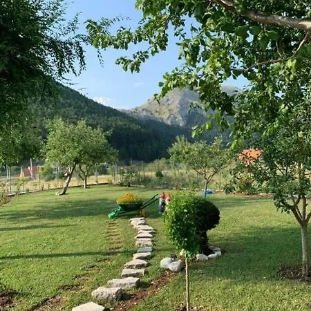Vacation Masa Tatil Evi
